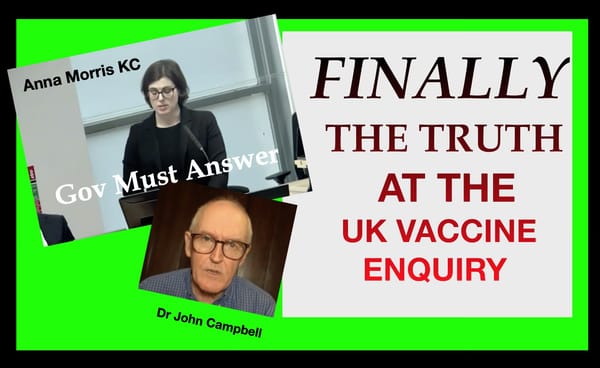 FINALLY - THE TRUTH ABOUT COVID 'VACCINES' COMES OUT AT THE UK HEARING - BUT WILL ANYONE PAY ATTENTION?